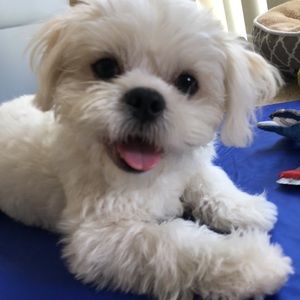 Meet your Posher, Leslie